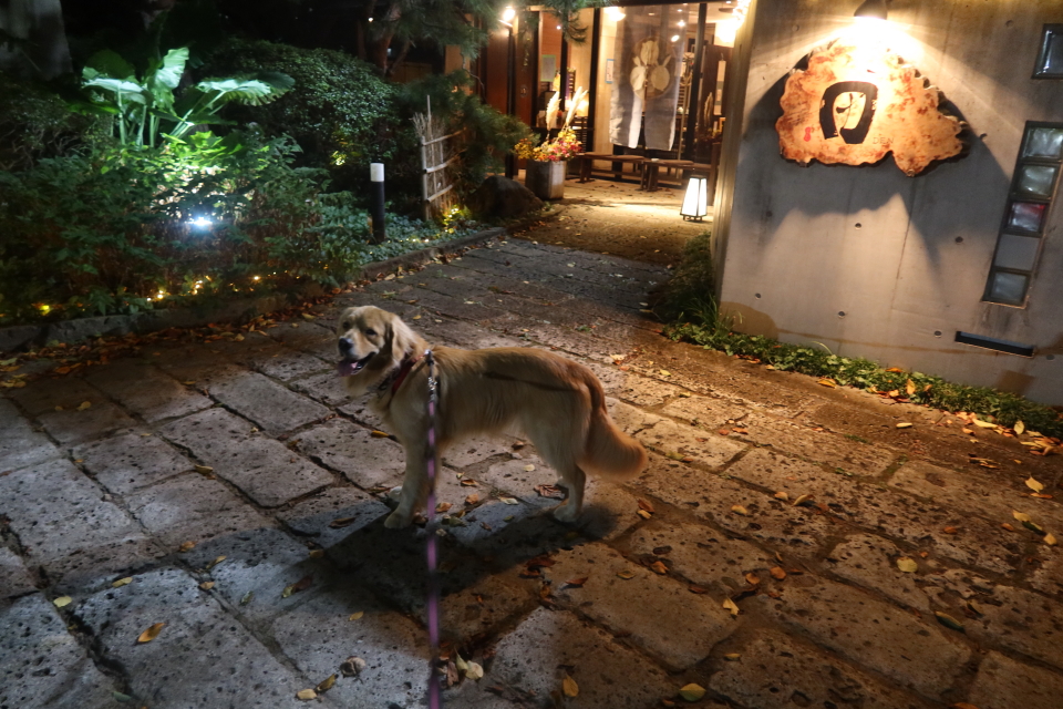 ファイル 7767-2.jpg