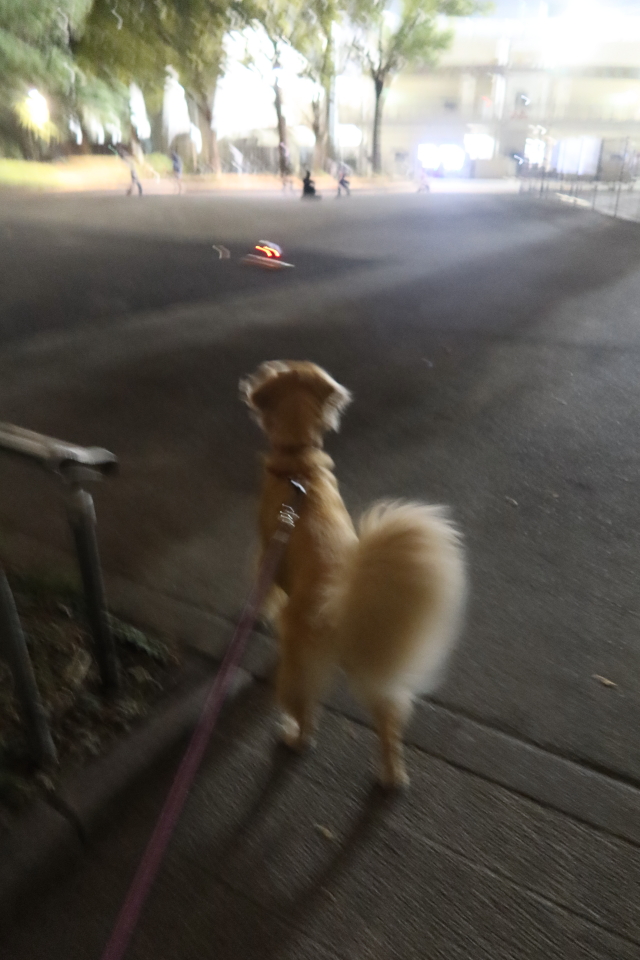 ファイル 7769-2.jpg