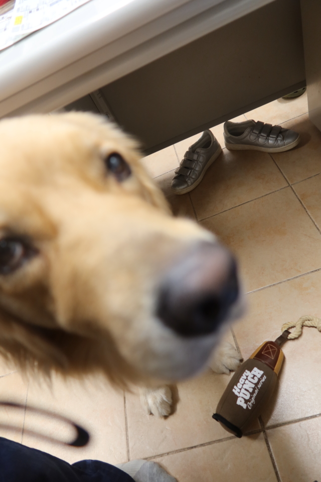 ファイル 7769-4.jpg