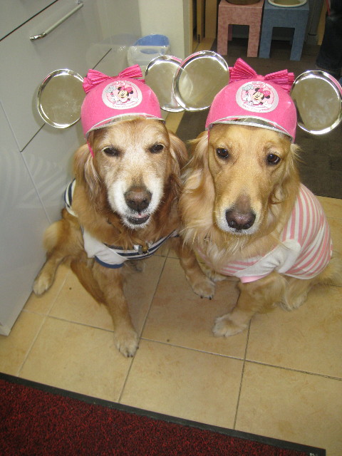 ファイル 777-2.jpg