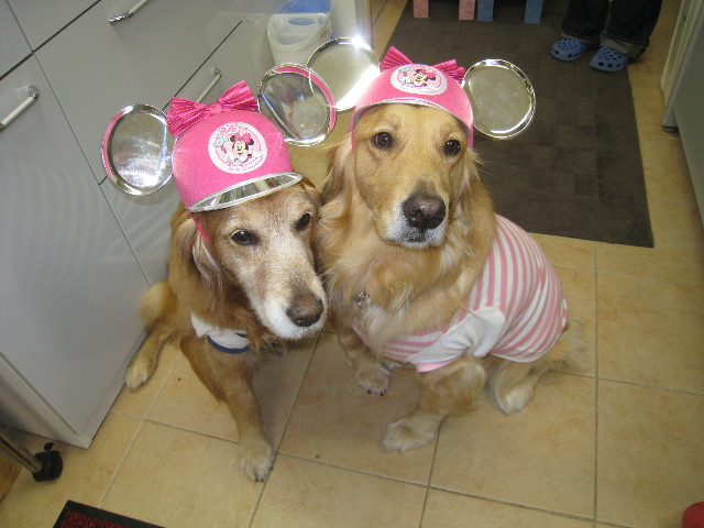 ファイル 777-3.jpg