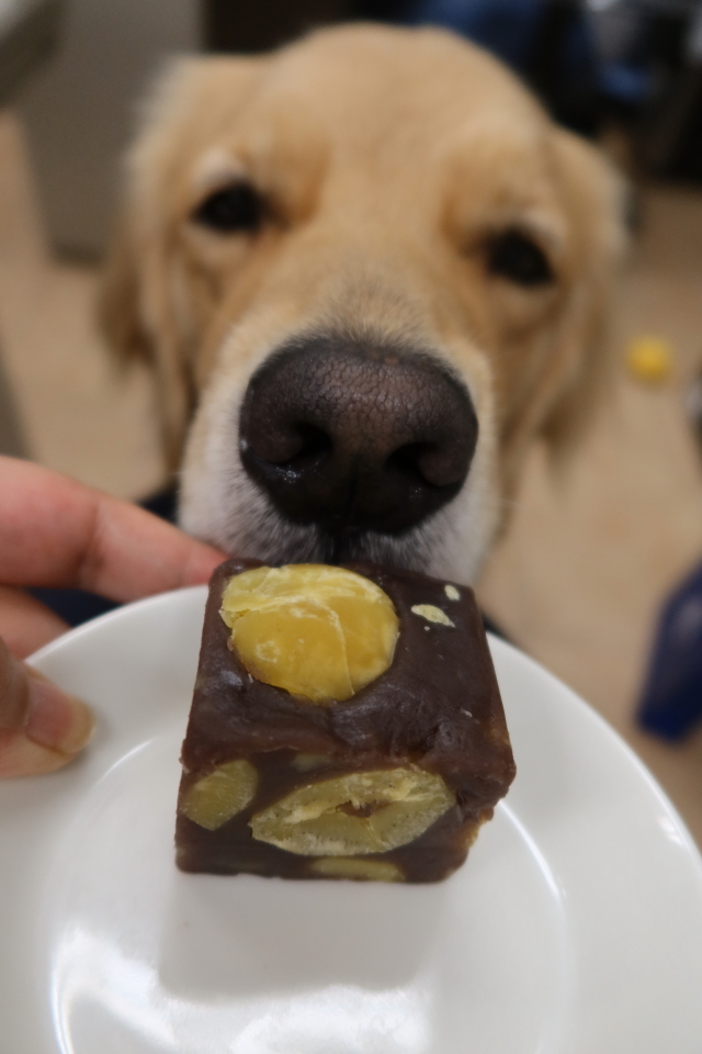 ファイル 7771-1.jpg