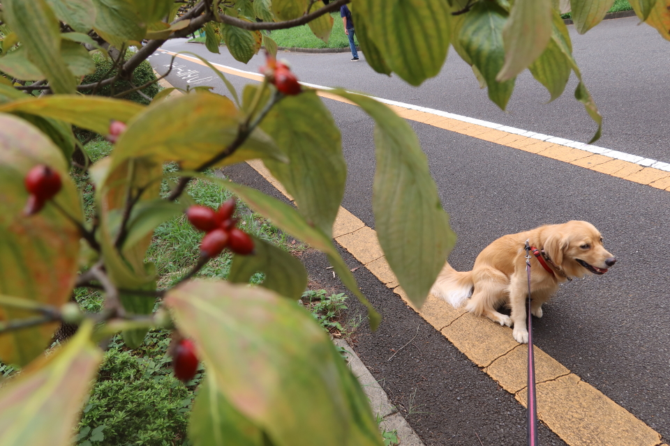 ファイル 7771-3.jpg