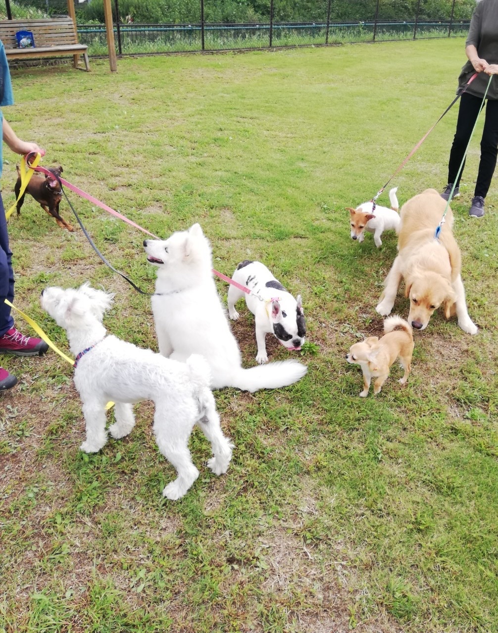 ファイル 7772-1.jpg