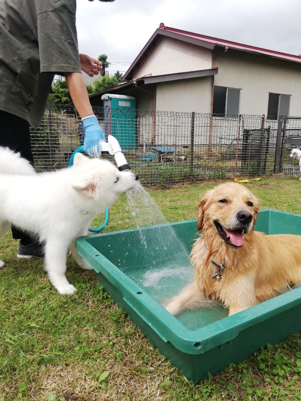 ファイル 7772-4.jpg