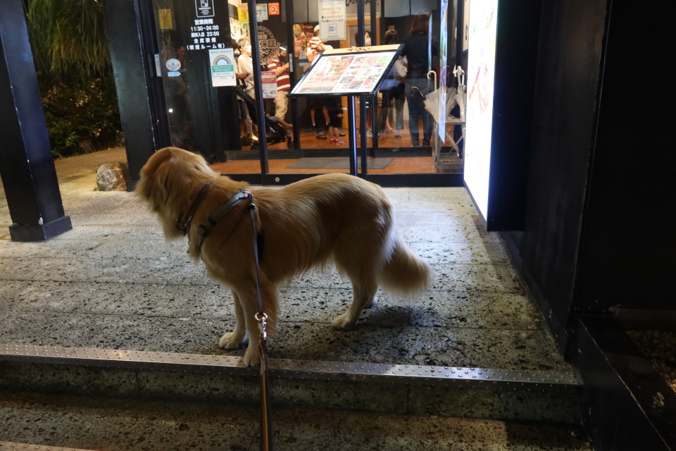 ファイル 7774-1.jpg