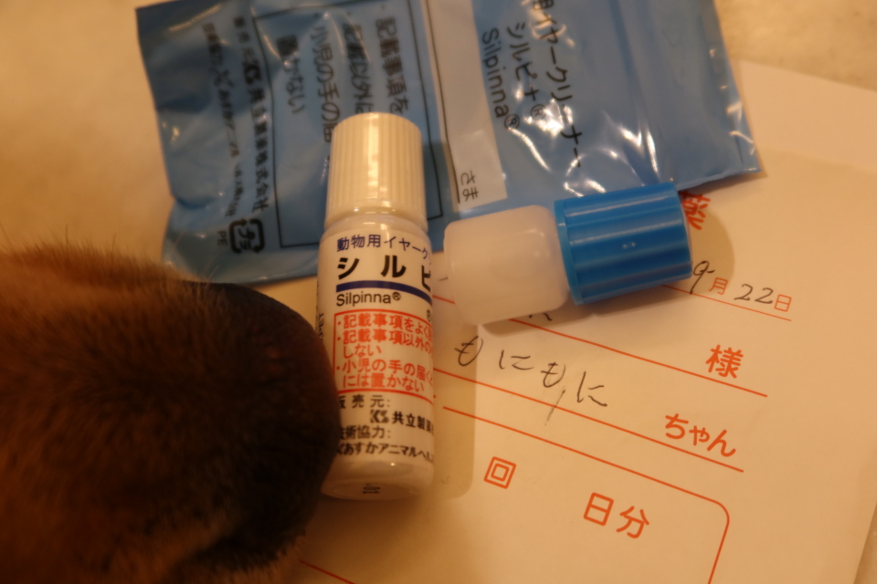 ファイル 7774-4.jpg