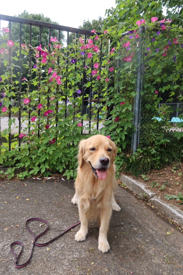 ファイル 7774-5.jpg