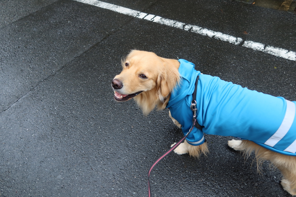 ファイル 7775-2.jpg