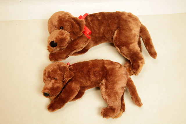 ファイル 7776-5.jpg