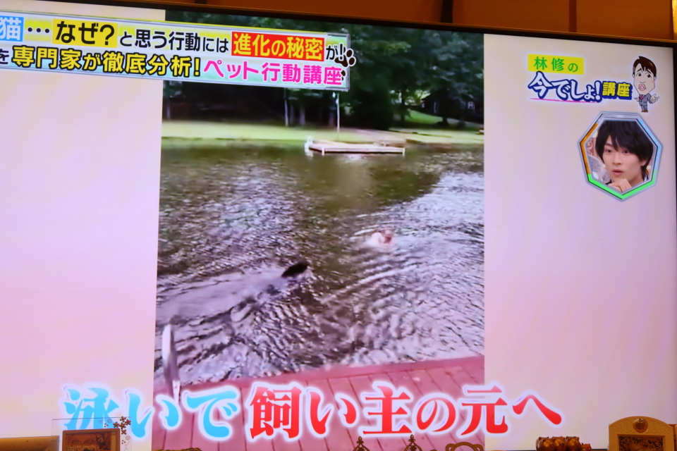 ファイル 7777-1.jpg