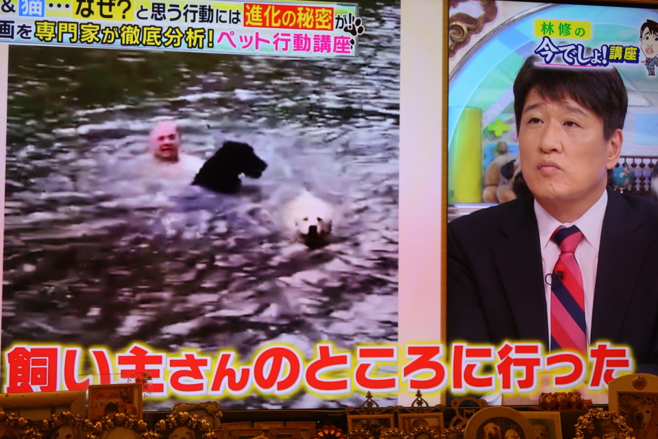 ファイル 7777-2.jpg