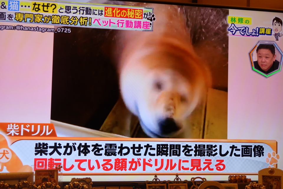 ファイル 7777-3.jpg