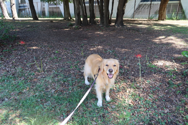 ファイル 7779-2.jpg