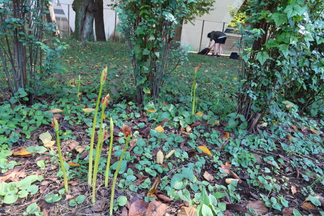 ファイル 7779-4.jpg