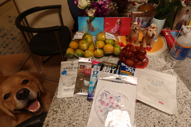 ファイル 7779-5.jpg