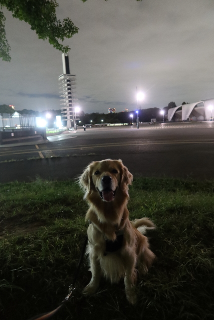 ファイル 7780-1.jpg