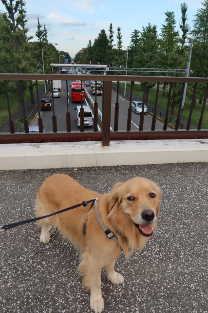 ファイル 7780-4.jpg