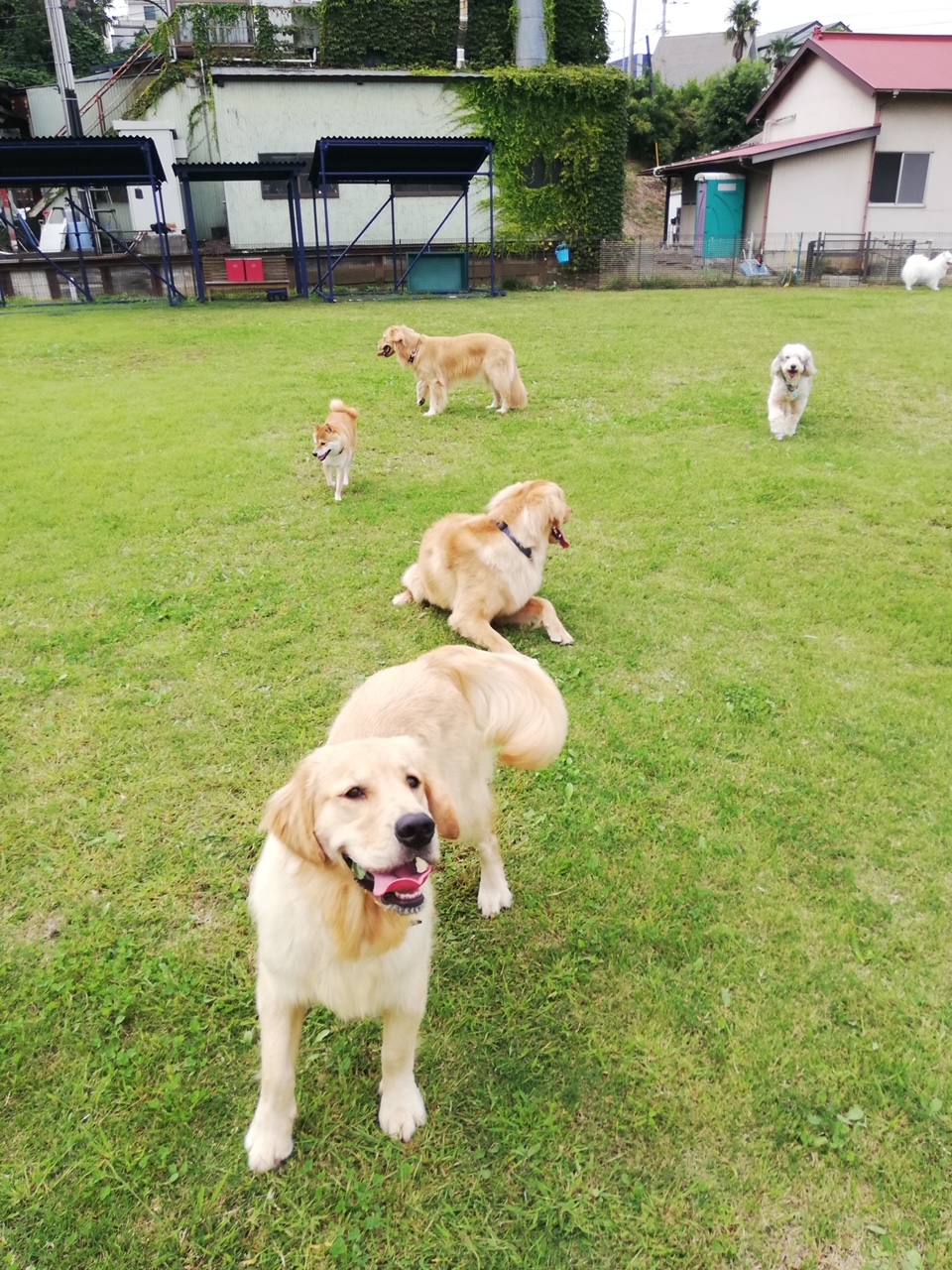 ファイル 7782-4.jpg