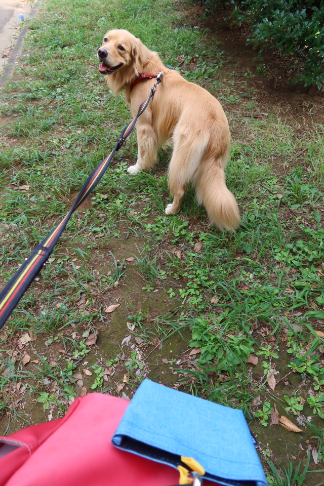 ファイル 7783-1.jpg