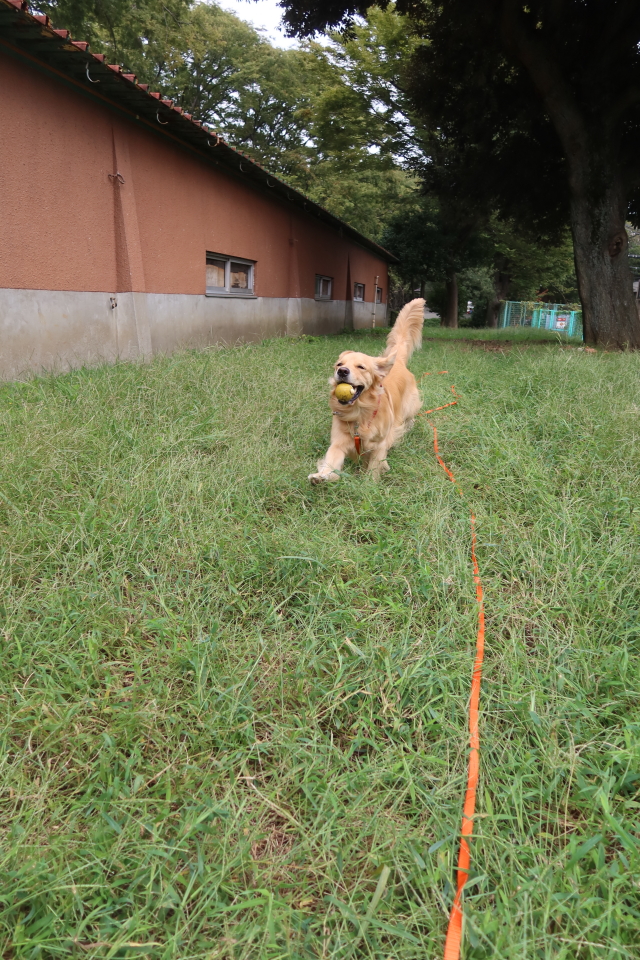 ファイル 7783-2.jpg