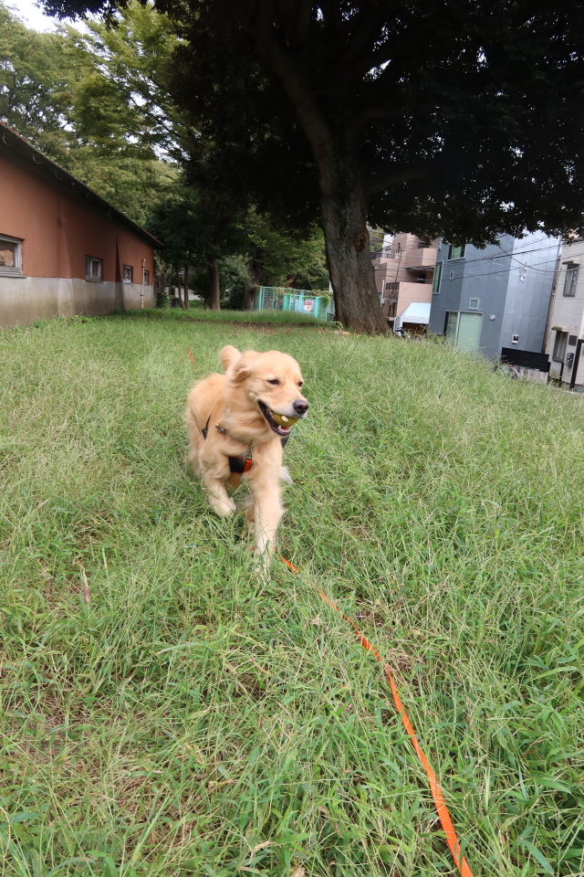 ファイル 7783-3.jpg