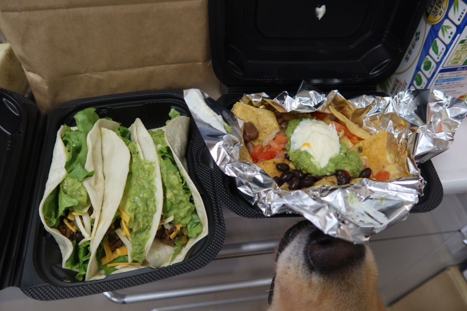 ファイル 7783-5.jpg