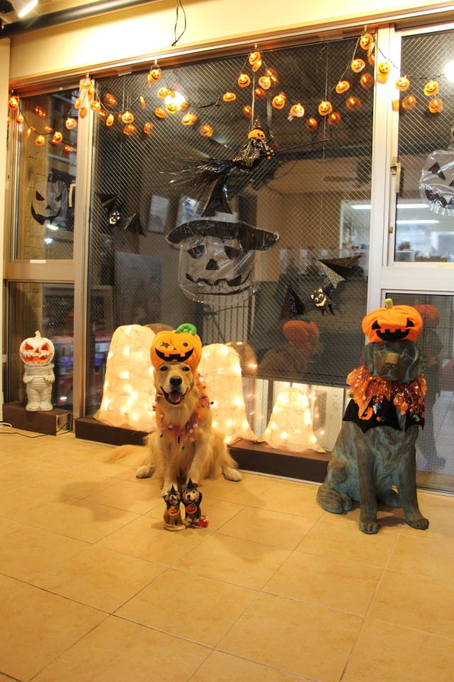 ファイル 7786-4.jpg