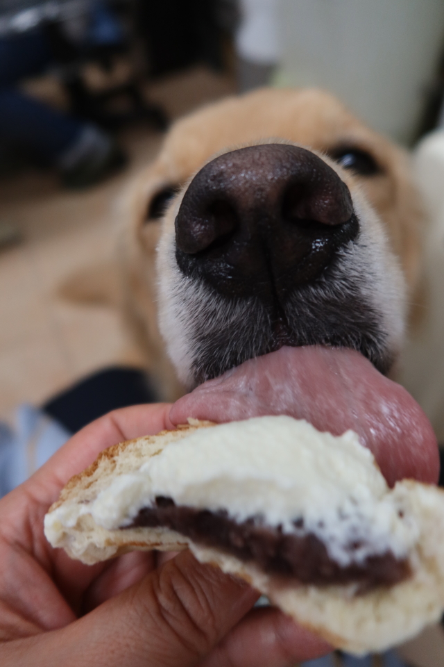 ファイル 7787-2.jpg