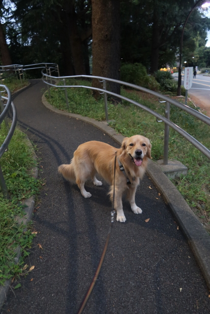 ファイル 7788-2.jpg