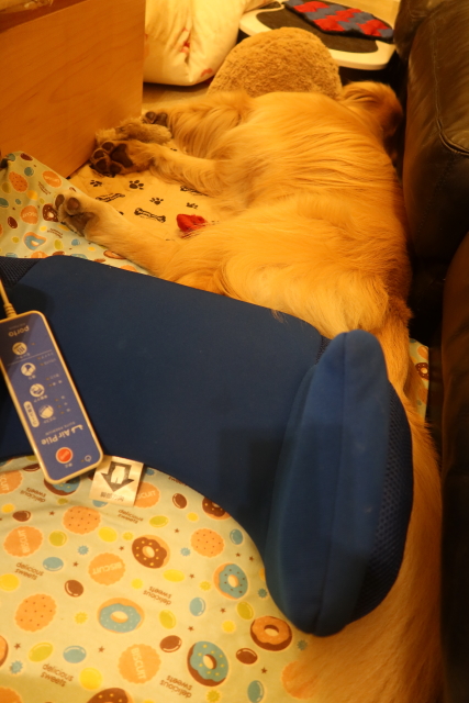 ファイル 7789-1.jpg