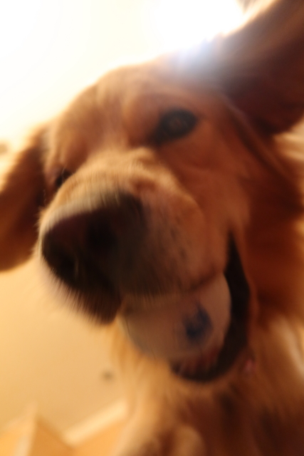 ファイル 7789-2.jpg