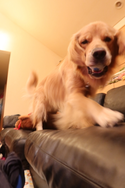 ファイル 7789-4.jpg