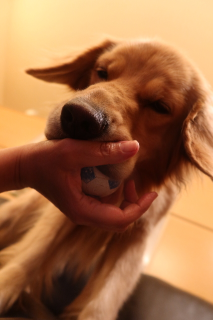 ファイル 7789-5.jpg