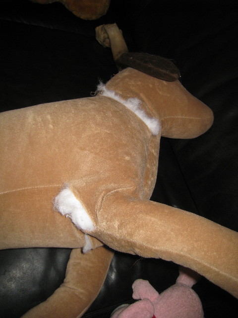 ファイル 779-4.jpg