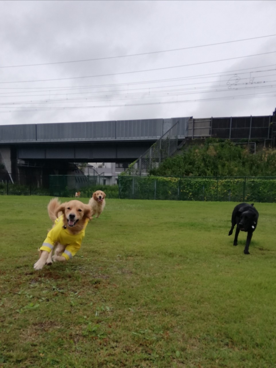 ファイル 7790-1.jpg