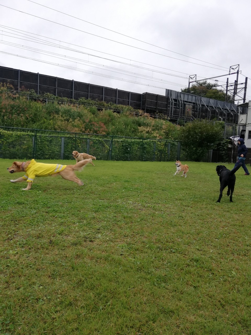 ファイル 7790-2.jpg