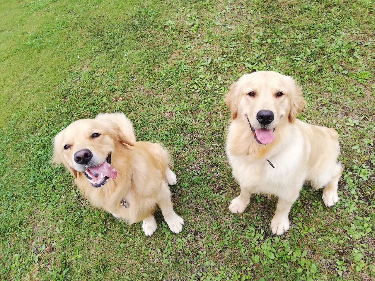 ファイル 7790-3.jpg