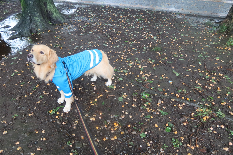 ファイル 7791-1.jpg