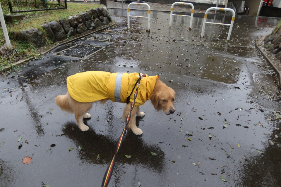 ファイル 7791-2.jpg