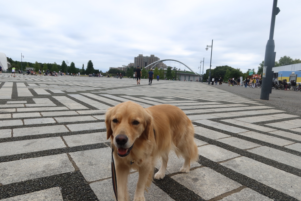 ファイル 7792-1.jpg