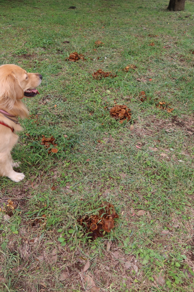 ファイル 7792-5.jpg