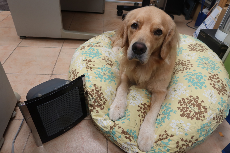 ファイル 7793-1.jpg