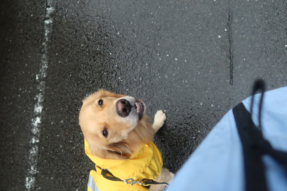 ファイル 7793-2.jpg