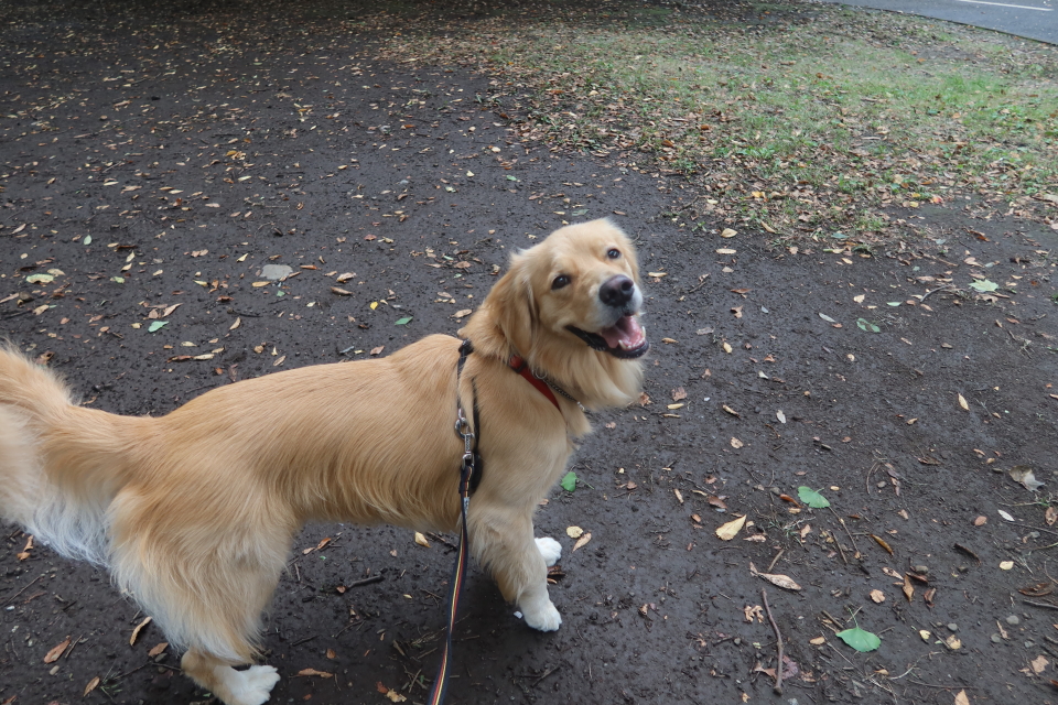 ファイル 7793-4.jpg