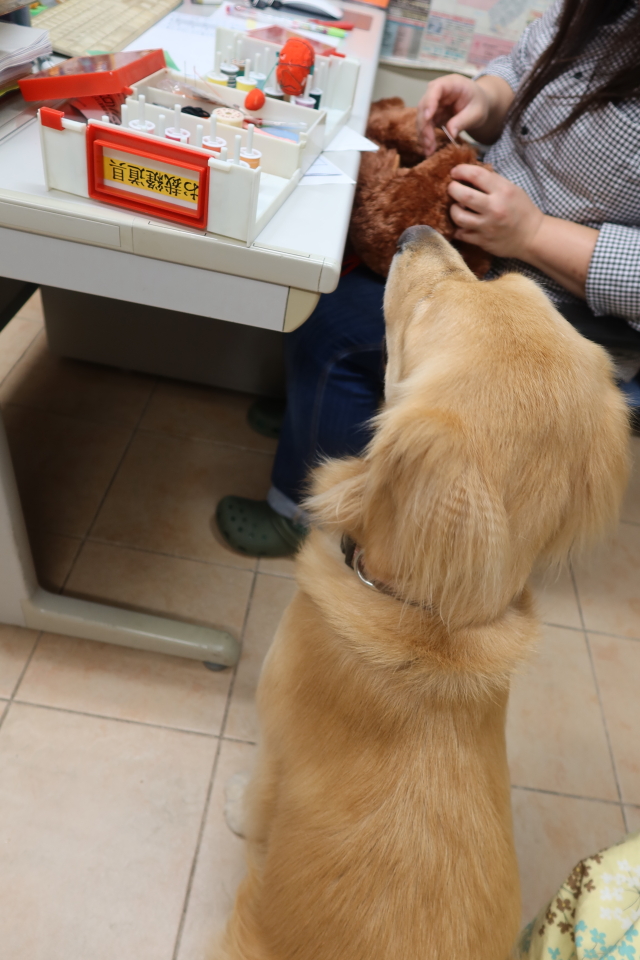 ファイル 7793-5.jpg