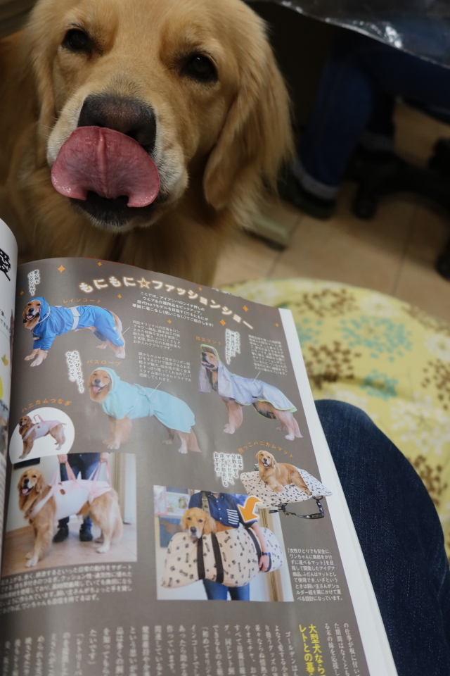 ファイル 7794-2.jpg