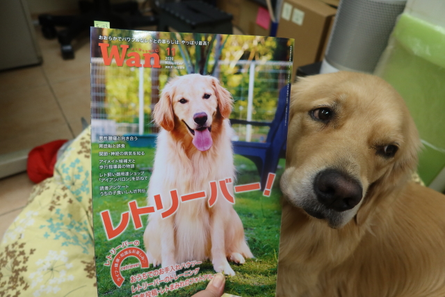 ファイル 7794-3.jpg