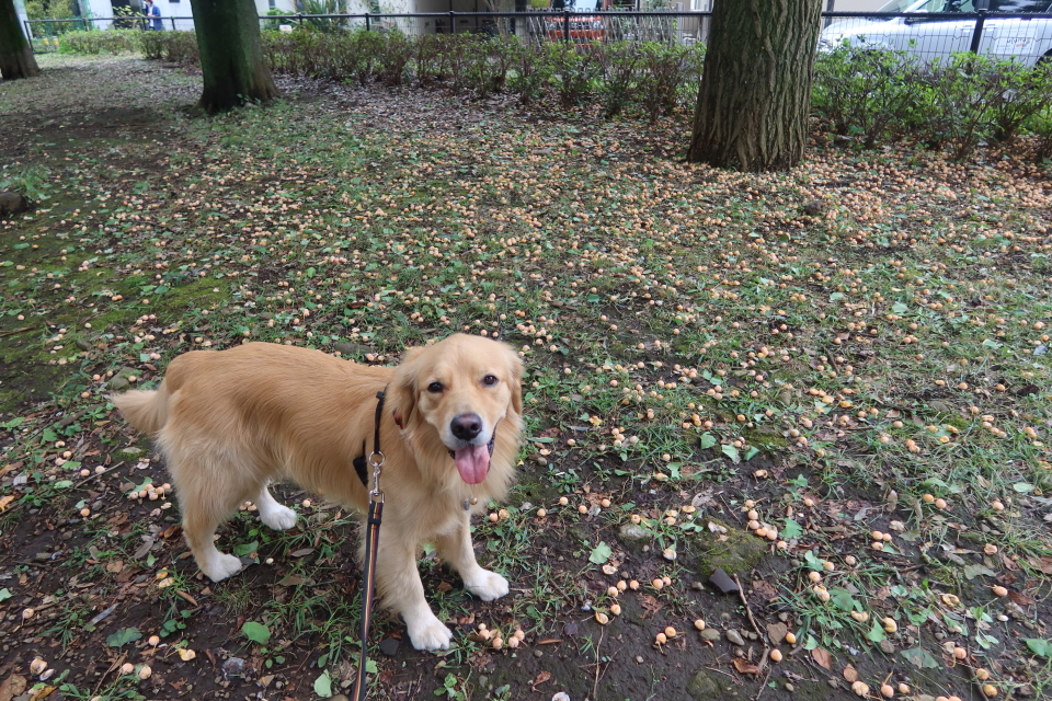 ファイル 7794-4.jpg