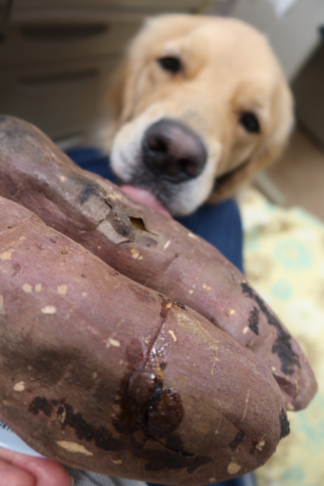 ファイル 7794-5.jpg